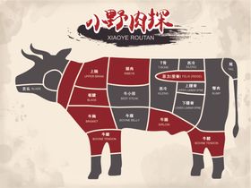 牛肉分割图