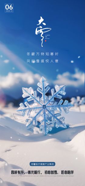 大雪节气海报