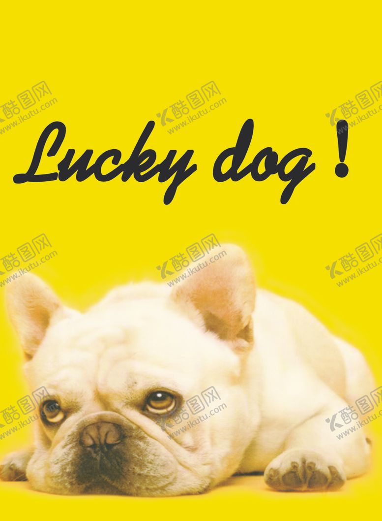 编号：61038510141751082626【酷图网】源文件下载-哈巴狗
