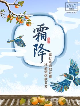 秋天冬天霜降节气墙头柿子熟了雪