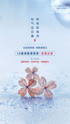 地产白露节气移动端海报