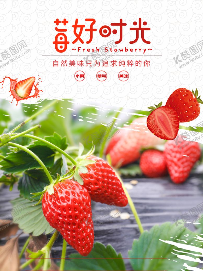 编号：39026709120030165012【酷图网】源文件下载-草莓水果采摘