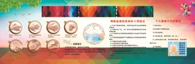 七步洗手法图解