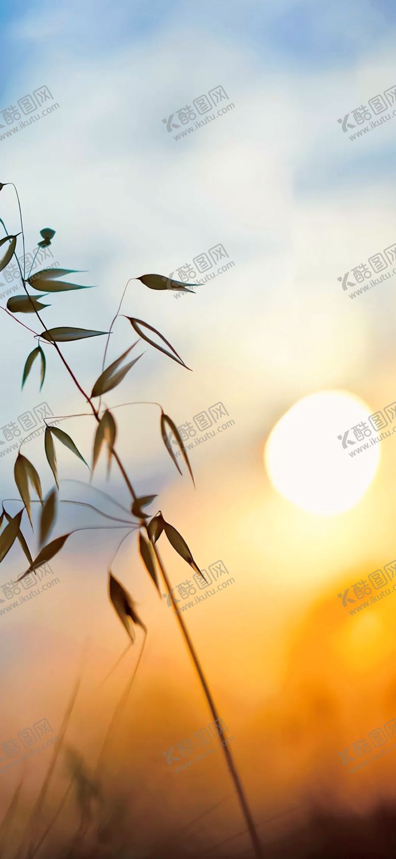 编号：33792109210204313425【酷图网】源文件下载-秋分立秋处暑地产微信