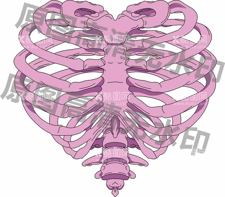 编号：26900911281434356507【酷图网】源文件下载-矢量潮牌T恤图案印花骨骼爱心