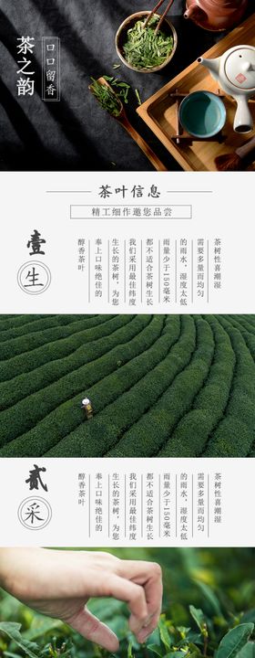 茶叶详情页