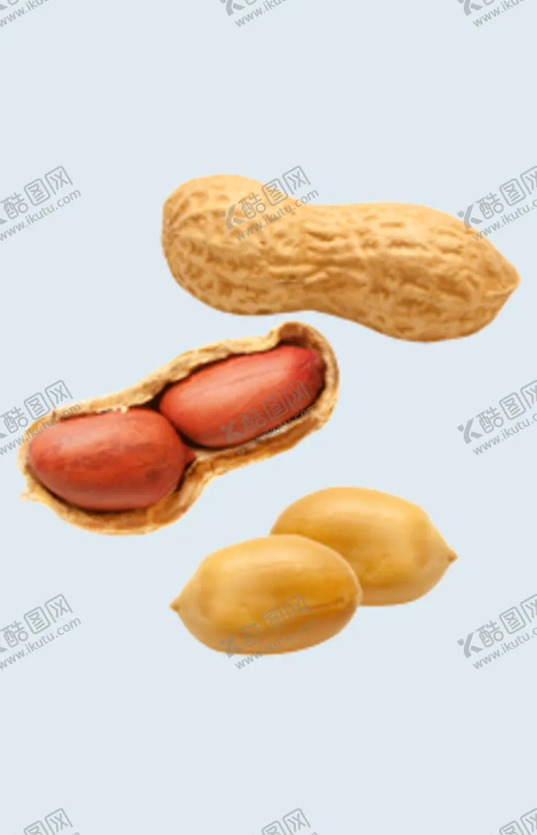 编号：42236511032324523605【酷图网】源文件下载-花生