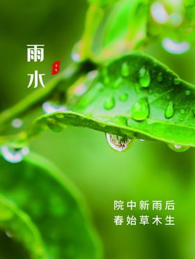 雨水地产稿微信微信贴片