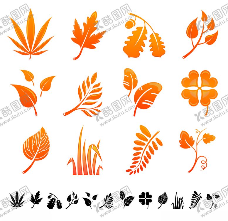 编号：68037009150027412926【酷图网】源文件下载-枫叶秋天