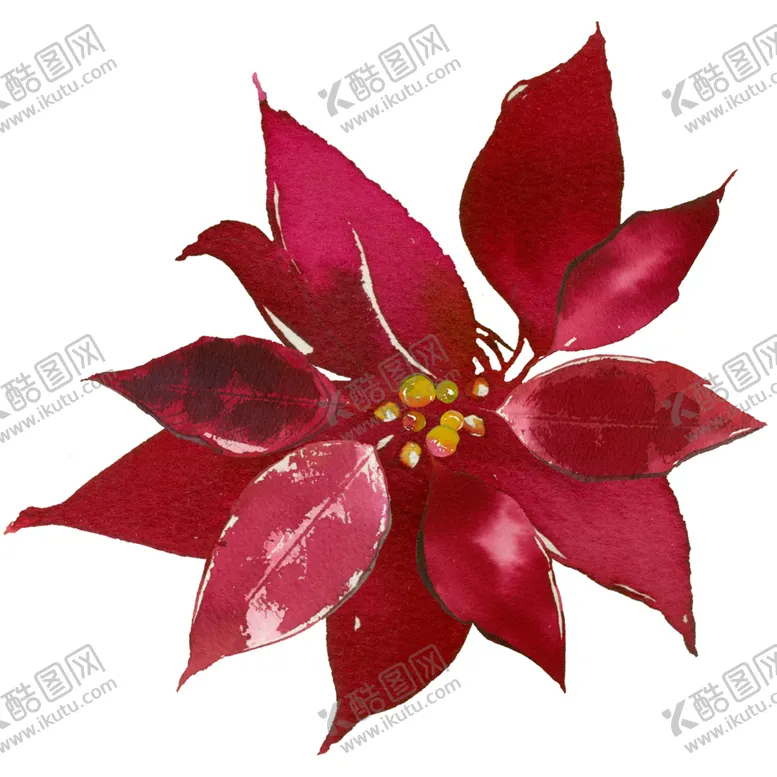编号：41712201251421081971【酷图网】源文件下载-花卉组合 