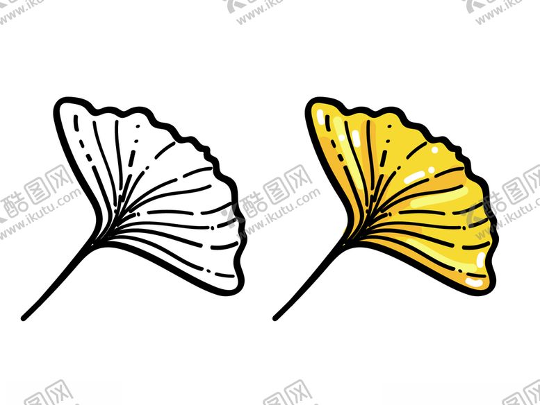 编号：23068111010017519901【酷图网】源文件下载-银杏树叶