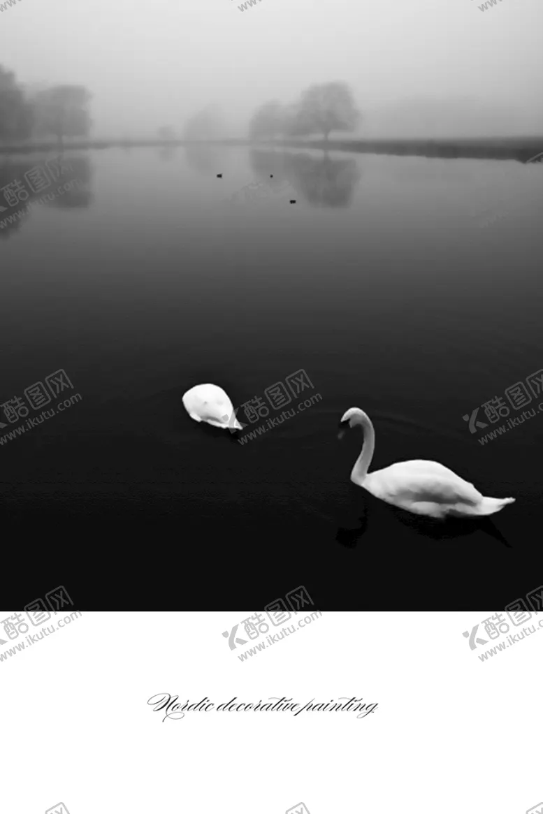 编号：58613210060709280783【酷图网】源文件下载-天鹅挂画