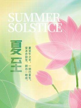 简约荷叶二十四节气夏至节气海报