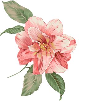 手绘花卉