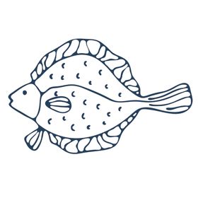 手绘海洋生物