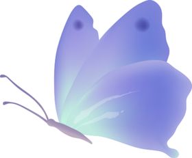 蝴蝶PNG