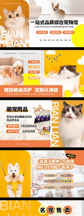 宠物活动banner