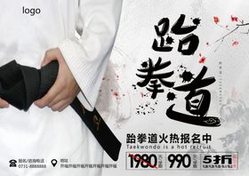 跆拳道海报