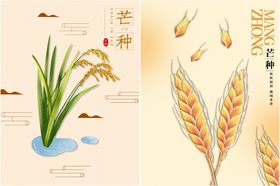 芒种海报