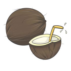 卡通椰子