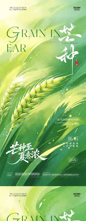 芒种节气小麦稻田中式插画海报