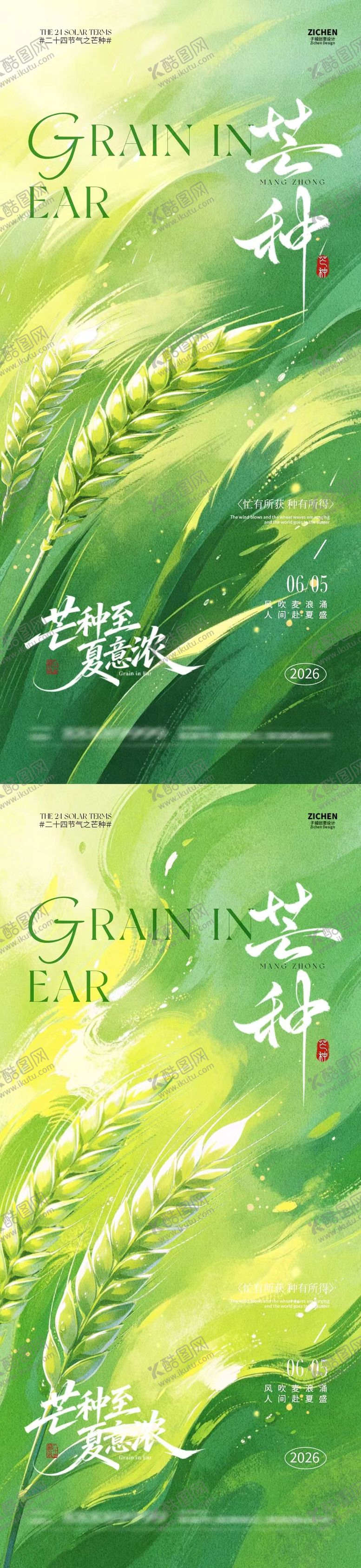 编号：95112305250052086631【酷图网】源文件下载-芒种节气简约小麦插画海报