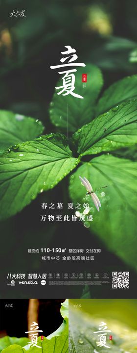 立夏40