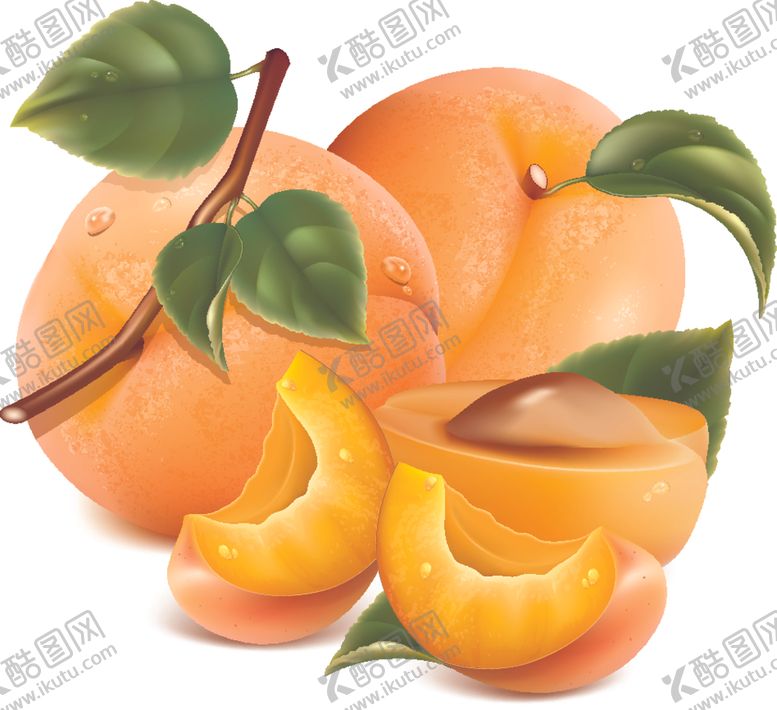 编号：26415807070622179488【酷图网】源文件下载-矢量黄桃图片