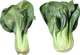 油菜