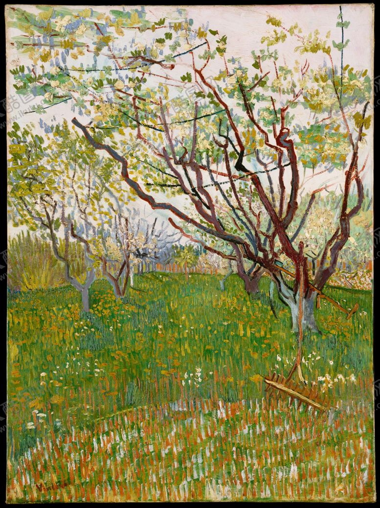 编号：42520510131940519804【酷图网】源文件下载-梵高油画作品集合