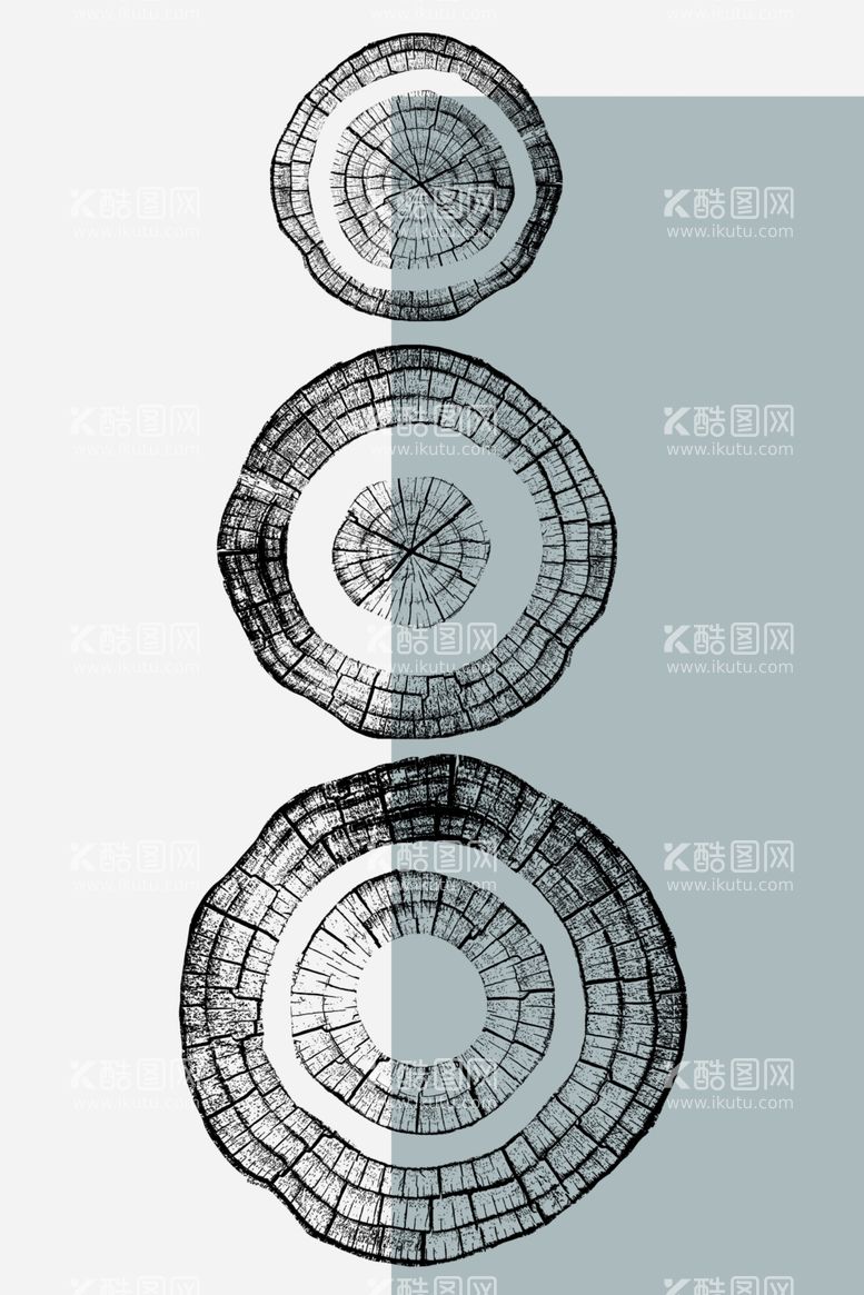 编号：33930803182219257588【酷图网】源文件下载-树木年轮装饰画