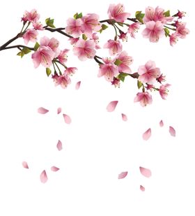 手绘桃花