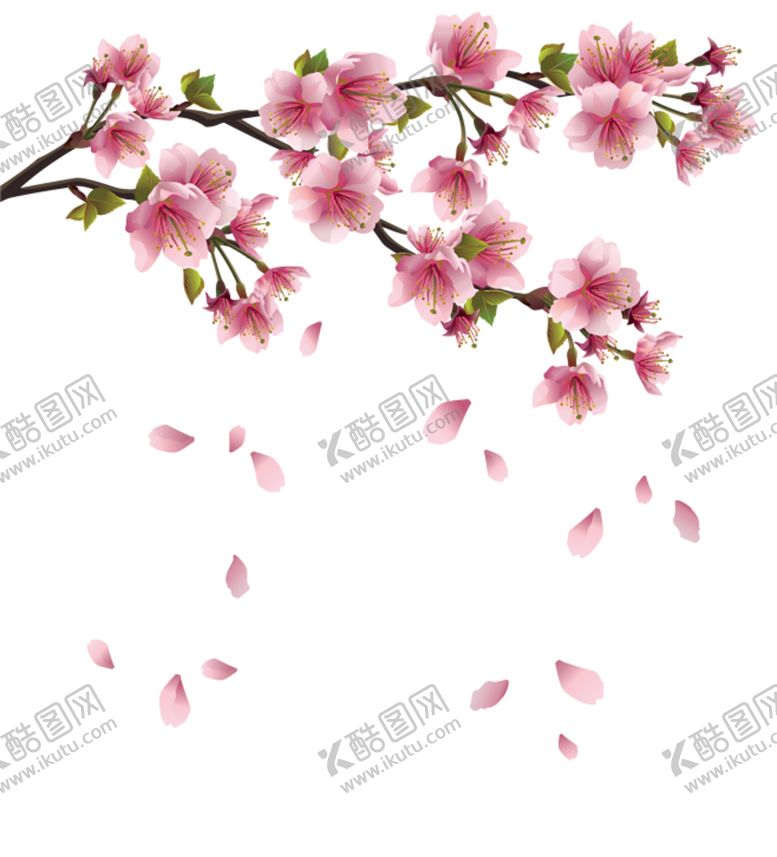 编号：32241210251724245282【酷图网】源文件下载-手绘桃花