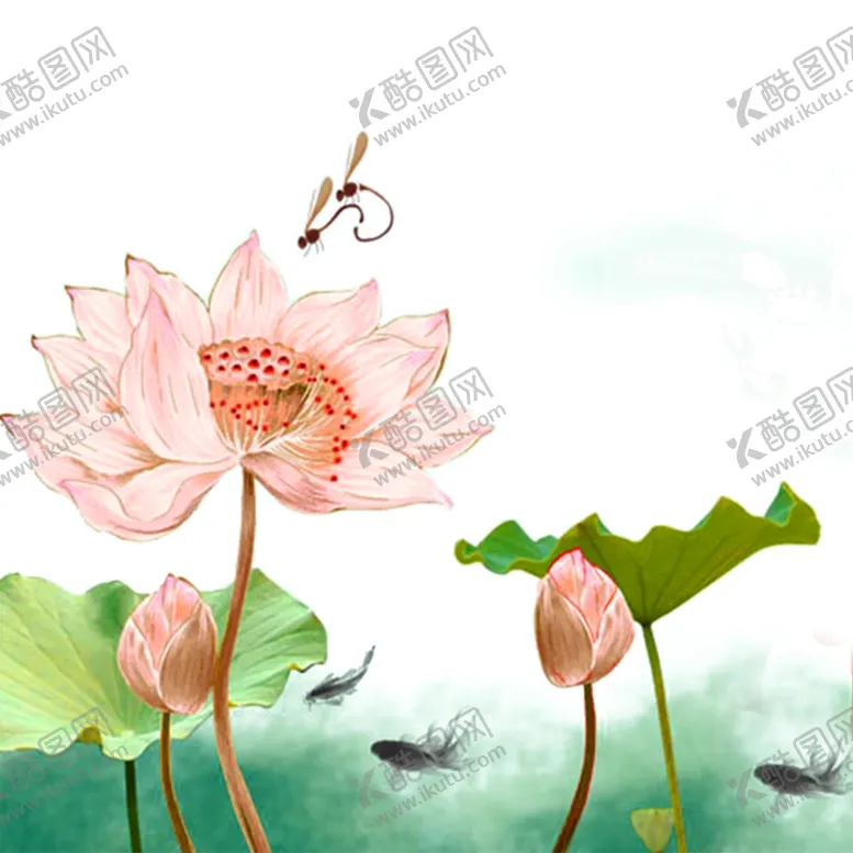 编号：78640601190229469912【酷图网】源文件下载-荷花素材