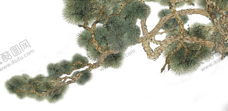 编号：45640910302021506505【酷图网】源文件下载-松树