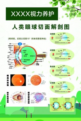 视力养护人类眼球切面解剖图