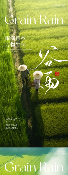 谷雨节气海报系列