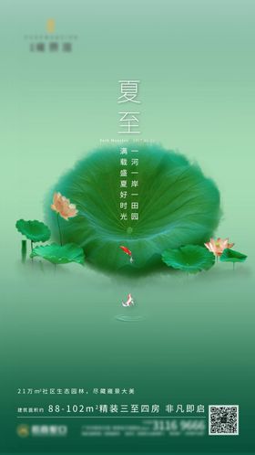 夏至海报二十四节气荷叶地产荷花