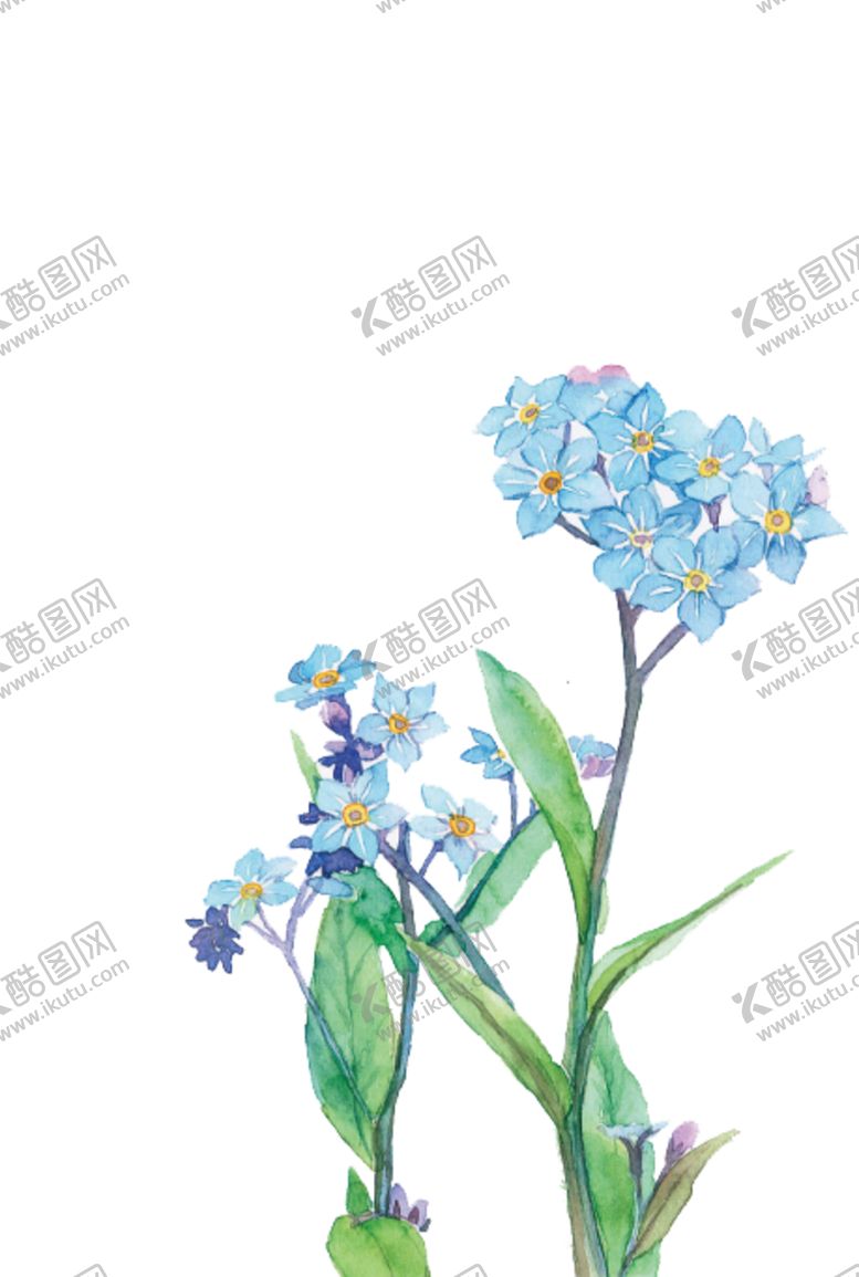 编号：28175210021338526470【酷图网】源文件下载-春天水彩花朵