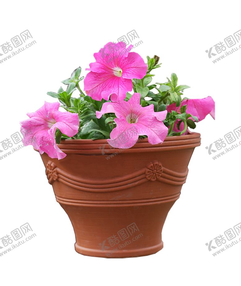 编号：32740510190830195985【酷图网】源文件下载-植物