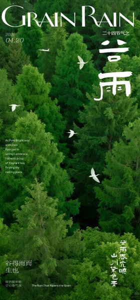 谷雨森林海报