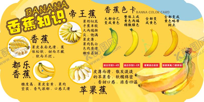编号：22537006291807114496【酷图网】源文件下载-皇帝蕉产地与特点介绍