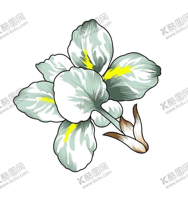 编号：93513307051641174007【酷图网】源文件下载-手绘花卉