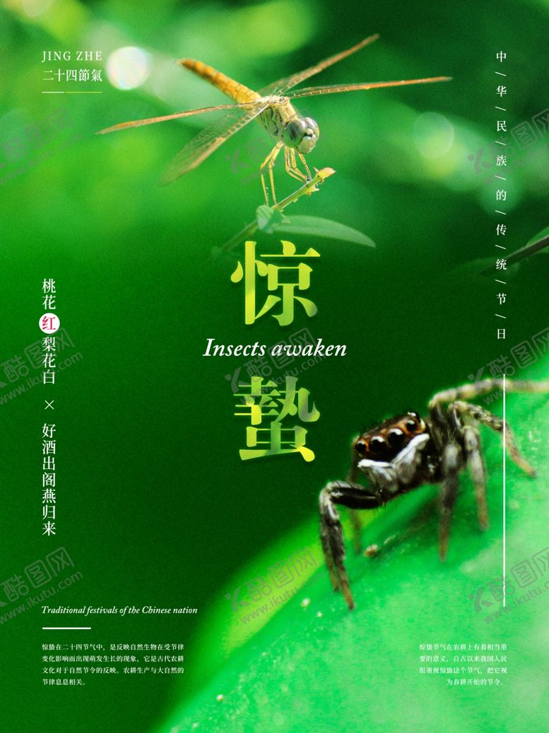 编号：68546310121607022080【酷图网】源文件下载-清新惊蛰24节气海报