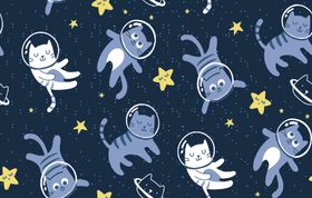 太空猫