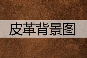 皮革logo样机