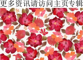女装印花花朵红色花卉图案