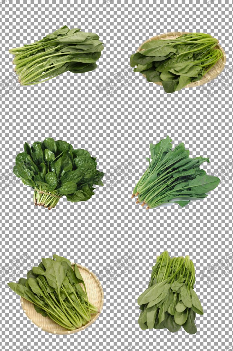 编号：71601411010359268450【酷图网】源文件下载-菠菜