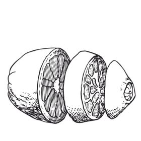 水果绘画线稿图案