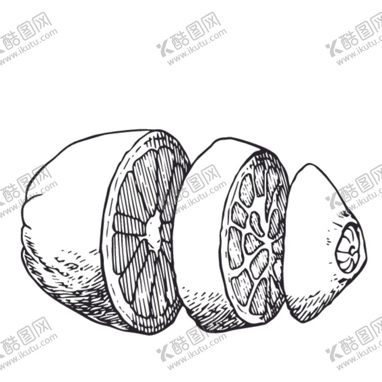 编号：87474707072208358714【酷图网】源文件下载-水果绘画线稿图案